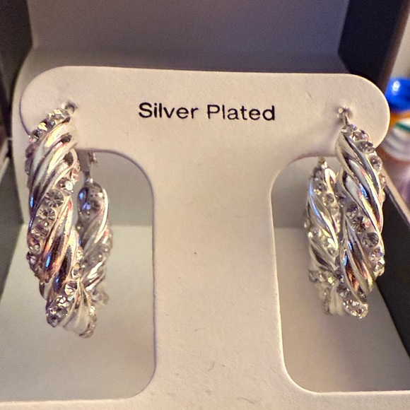 And Now This Twisted Silver Plated Earrings - Picture 2 of 6